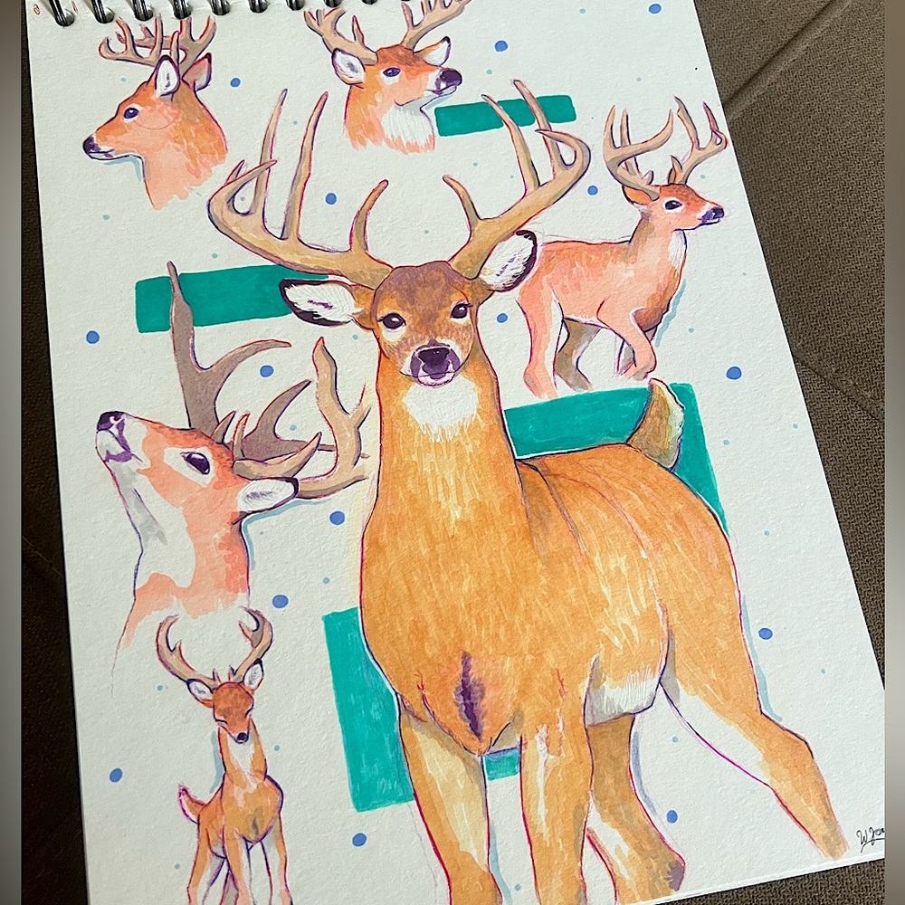 Original Deer Study sketch